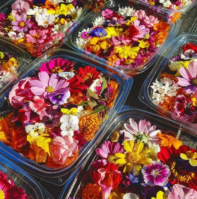 Now stocking edible flowers and micro greens - Greensmith Grocers